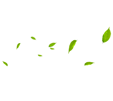 MHL Power Dongfang Boiler Co., Ltd. (MHDB)